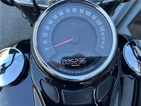 2019 HARLEY-DAVIDSON SOFTAIL FLHCS HERITAGE CLASSIC 114