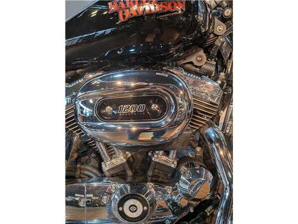 2019 Harley-Davidson Sportster