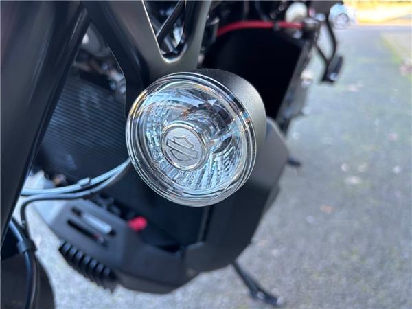 2025 HARLEY-DAVIDSON PAN AMERICA 1250ST