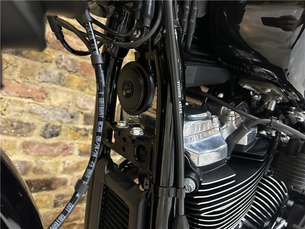 2025 Harley-Davidson Softail