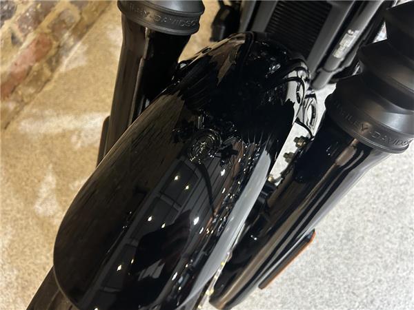 2025 Harley-Davidson Softail