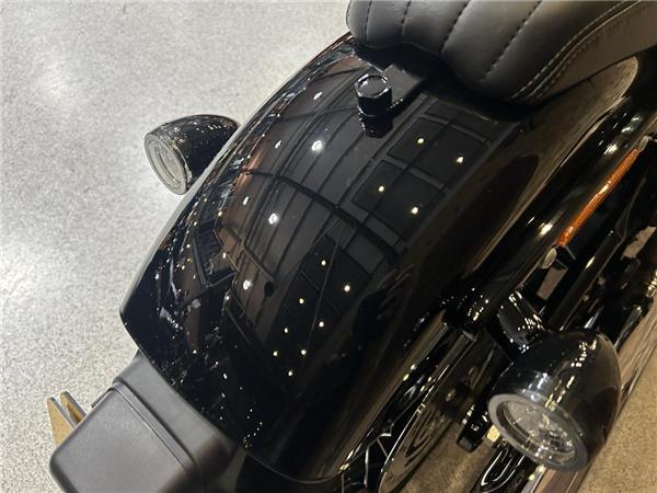 2025 Harley-Davidson Softail