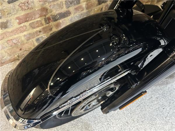 2025 Harley-Davidson Softail