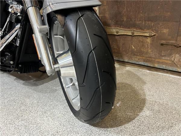 2025 Harley-Davidson Softail