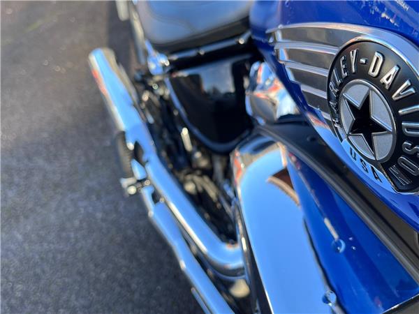 2025 Harley-Davidson Softail