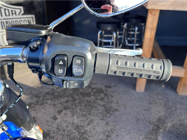 2025 Harley-Davidson Softail