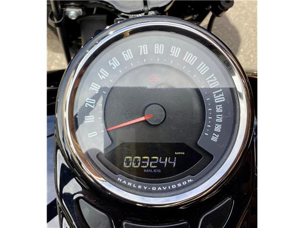 2024 Harley-Davidson Softail