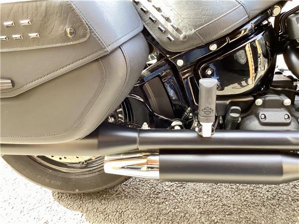 2024 Harley-Davidson Softail