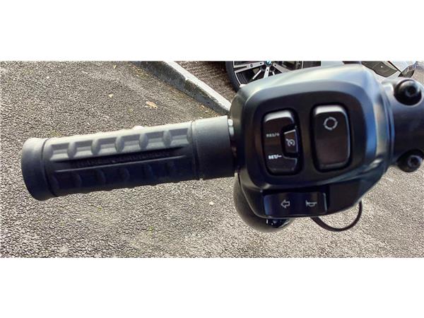 2025 Harley-Davidson Softail