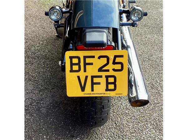 2025 Harley-Davidson Softail