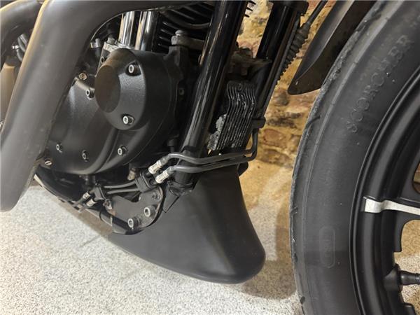 2016 Harley-Davidson Sportster