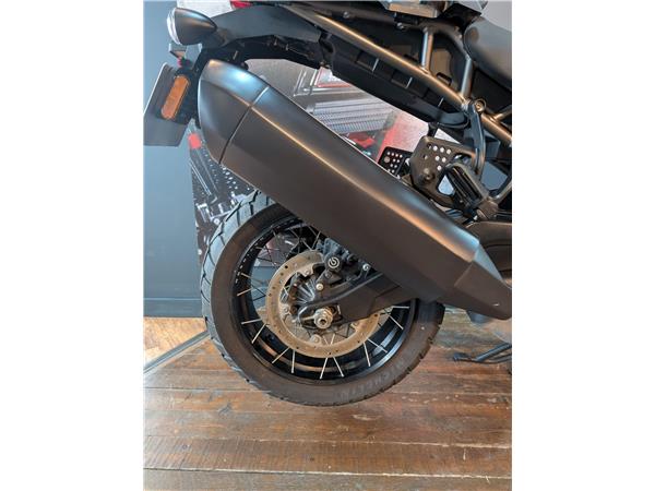 2024 Harley-Davidson Pan America