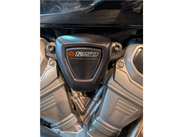 2024 Harley-Davidson Pan America