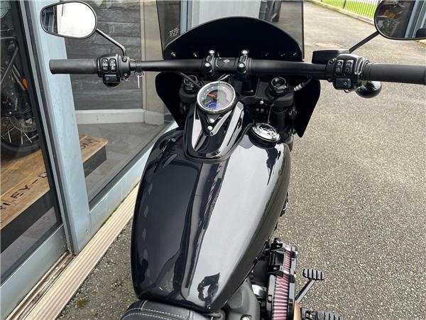2019 HARLEY-DAVIDSON SOFTAIL FXFBS FAT BOB 114