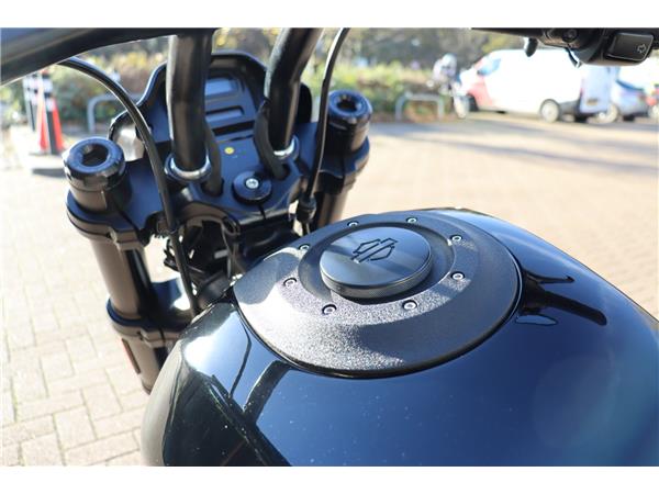 2019 HARLEY-DAVIDSON SOFTAIL FXDR 114