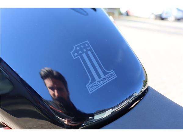 2019 HARLEY-DAVIDSON SOFTAIL FXDR 114