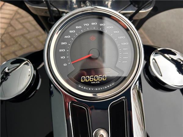 2021 HARLEY-DAVIDSON Softail