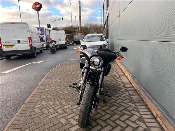 2019 HARLEY-DAVIDSON Softail
