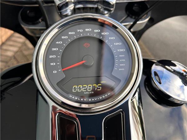 2024 HARLEY-DAVIDSON Softail