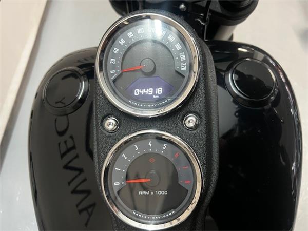 2020 HARLEY-DAVIDSON LOW RIDER