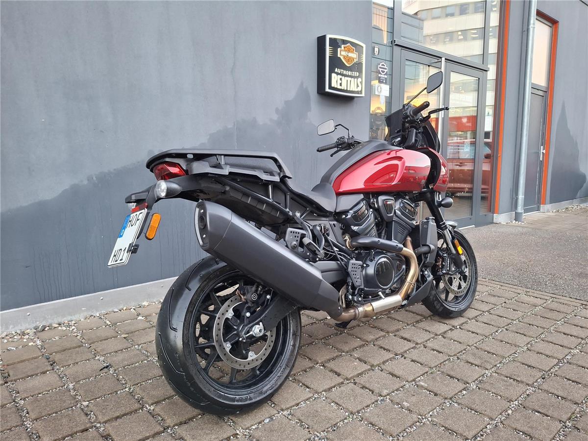 RA1250ST Pan America ST