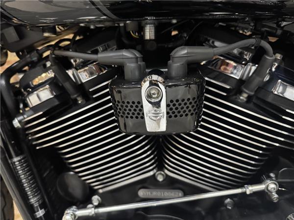 2024 Harley-Davidson Softail