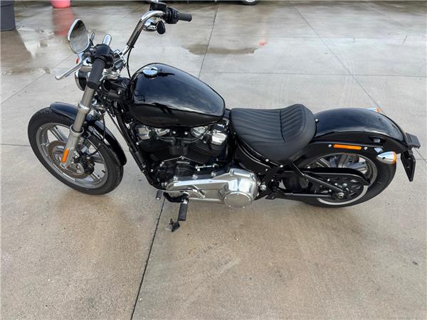 Harley-Davidson Softail-Cruiser Softail Standard - 2022