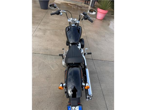Harley-Davidson Softail-Cruiser Softail Standard - 2022