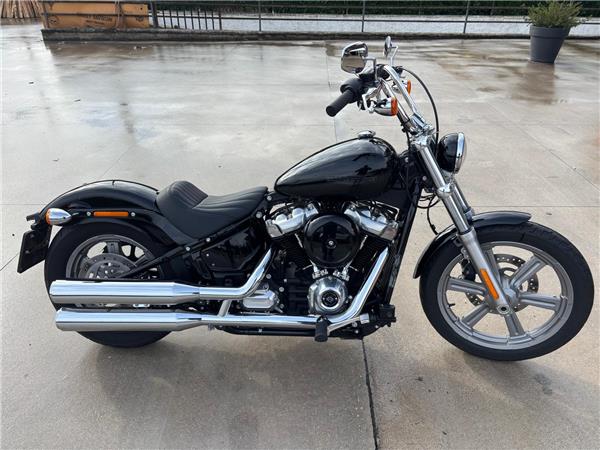 Harley-Davidson Softail-Cruiser Softail Standard - 2022