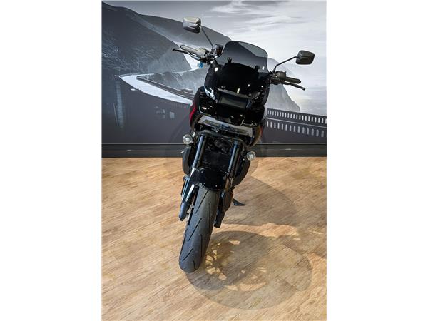 2025 Harley-Davidson Pan America