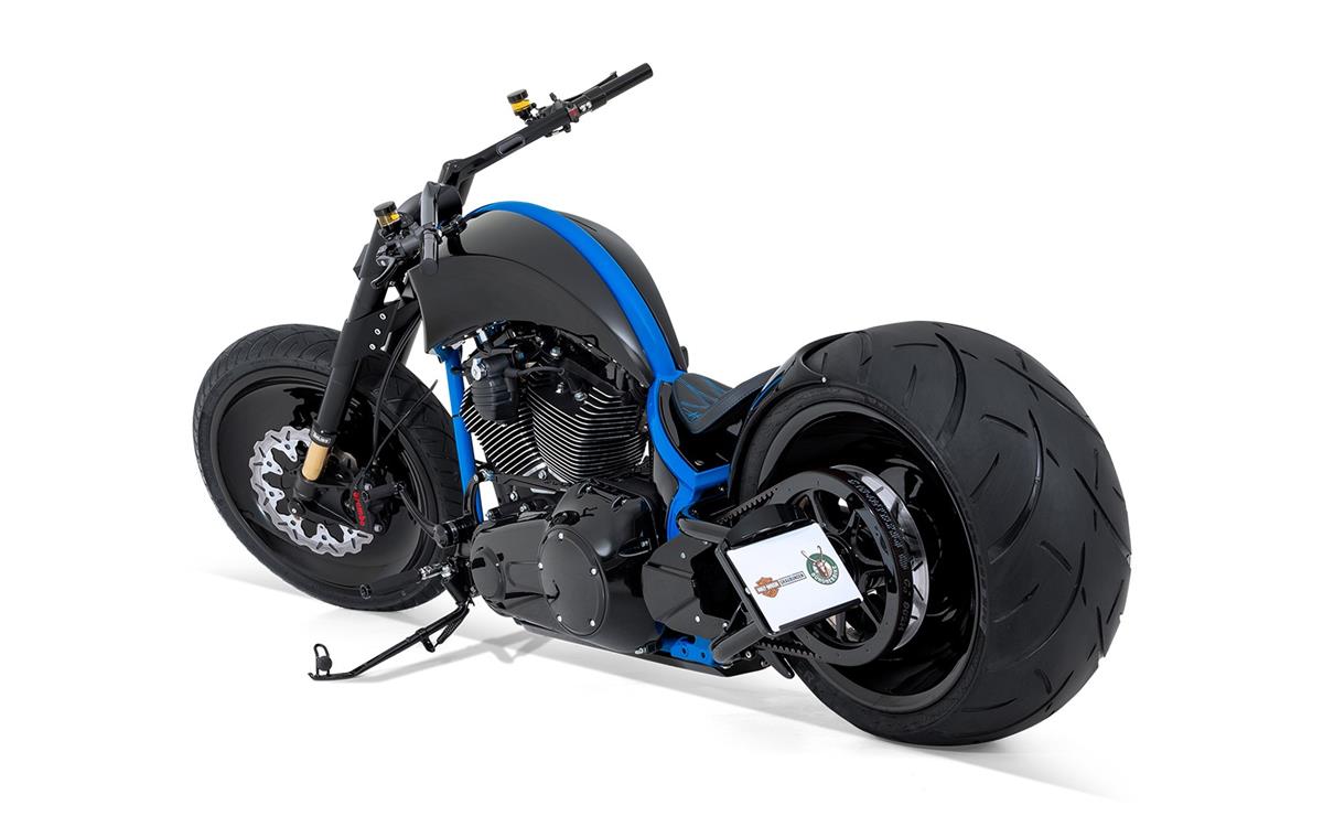 2017 harley-davidson FLSS Softail Slim S110 ABS