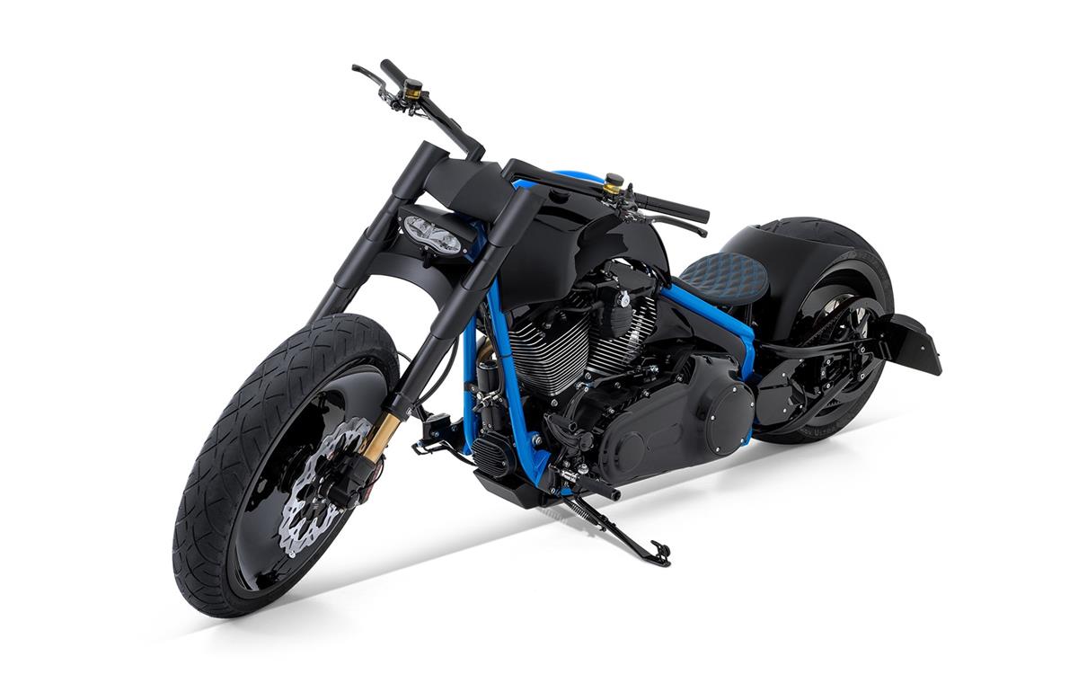 2017 harley-davidson FLSS Softail Slim S110 ABS
