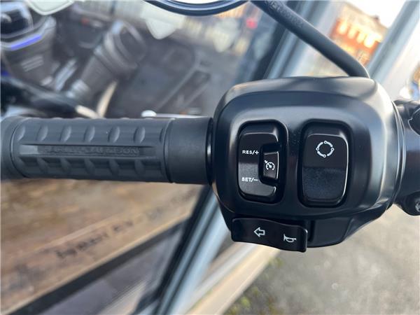 2025 HARLEY-DAVIDSON STREET BOB