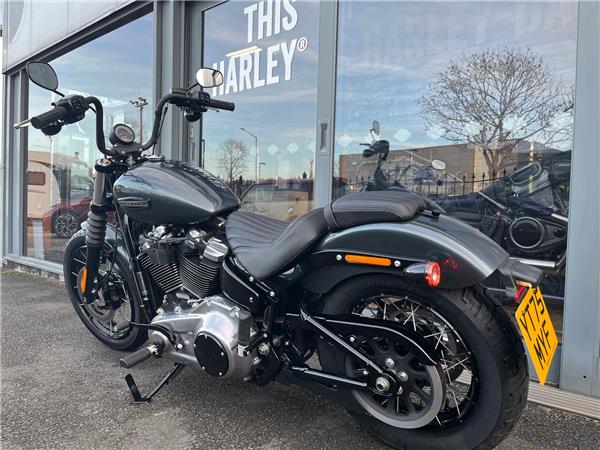 2025 HARLEY-DAVIDSON STREET BOB