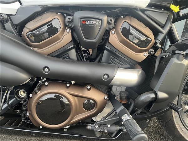 2021 HARLEY-DAVIDSON SPORTSTER S