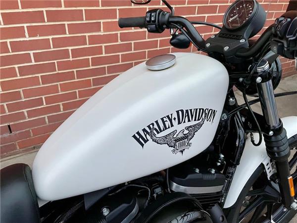 2017 HARLEY-DAVIDSON SPORTSTER XL883N IRON
