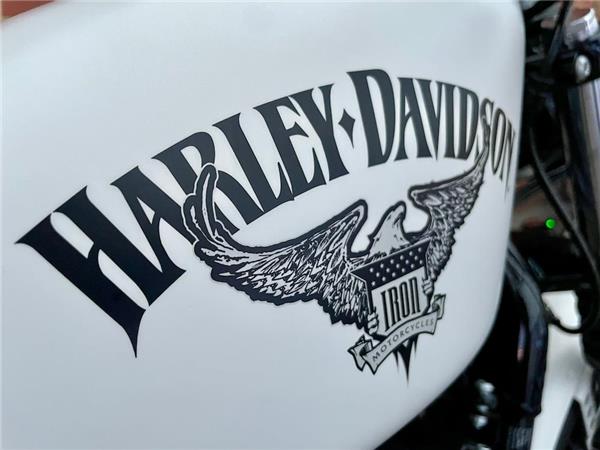 2017 HARLEY-DAVIDSON SPORTSTER XL883N IRON