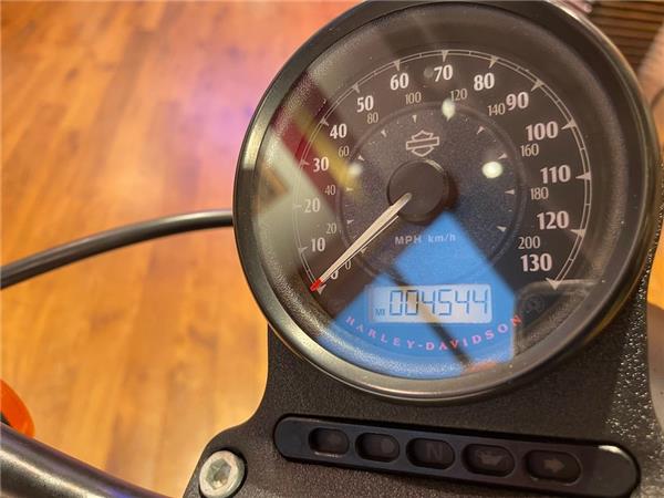 2017 HARLEY-DAVIDSON SPORTSTER XL883N IRON