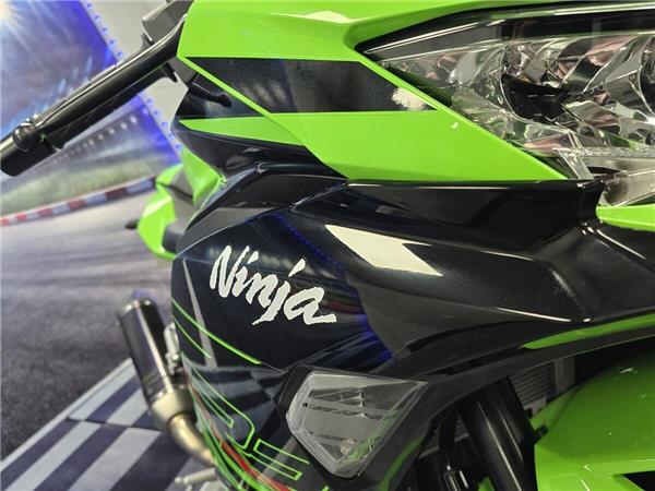 2024 Kawasaki Ninja ZX-4RR
