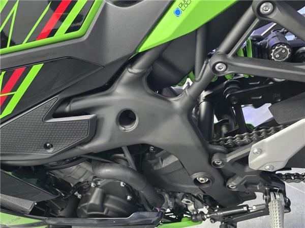 2024 Kawasaki Ninja ZX-4RR