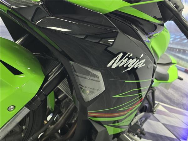 2024 Kawasaki Ninja ZX-4RR