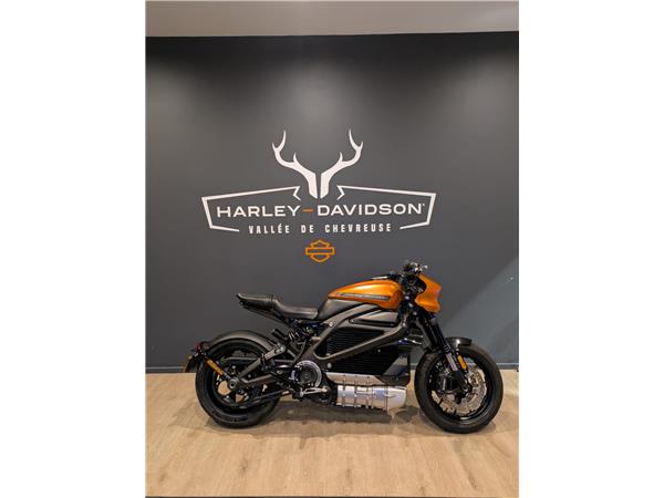 2020 HARLEY-DAVIDSON LIVEWIRE