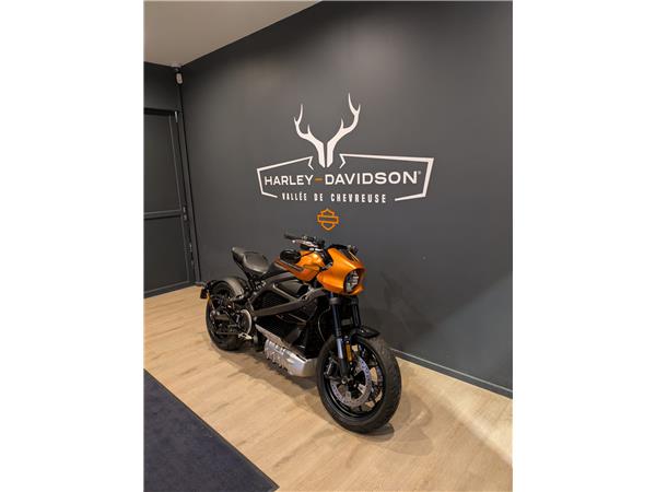 2020 HARLEY-DAVIDSON LIVEWIRE