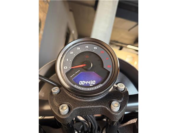 2023 harley-davidson FXLRS Low Rider S 117