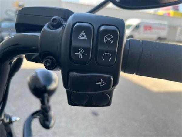 2024 Harley-Davidson Freewheeler