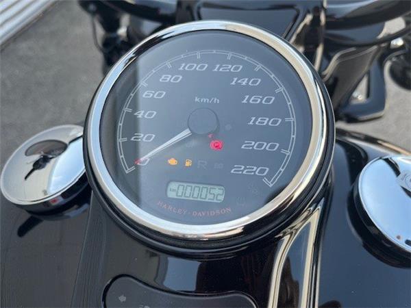 2024 Harley-Davidson Freewheeler