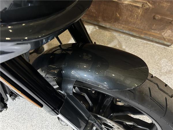 2025 Harley-Davidson Softail