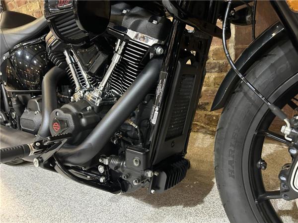 2025 Harley-Davidson Softail