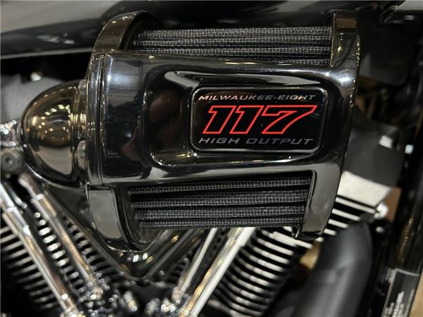 2025 Harley-Davidson Softail