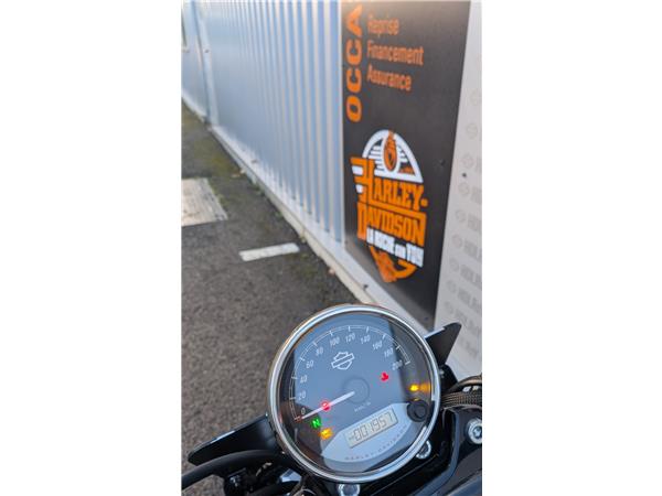 2019 HARLEY-DAVIDSON STREET ROD